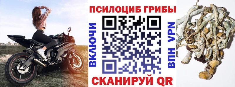 закладка  Томск  Галлюциногенные грибы ЛСД 